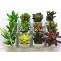 Home decorative Artificial mixed Mini succulent plant pvc potted succulent plant with different styles